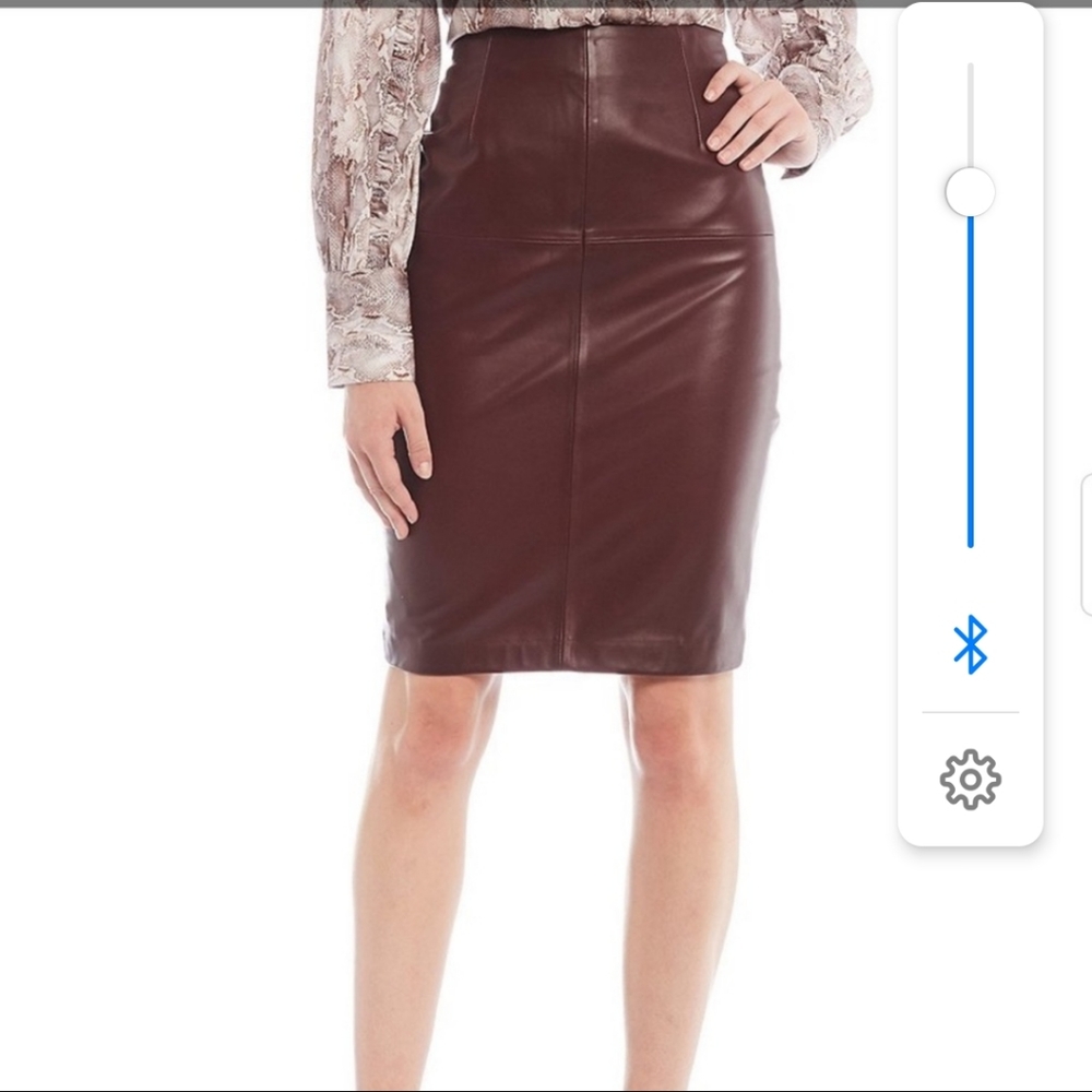 Danier Genuine Lamb Leather Skirt
